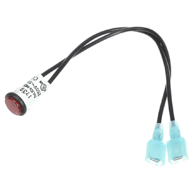 AllPoints CECC165A Heater Pilot Light Red
