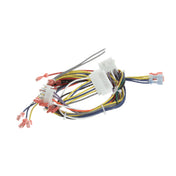 Blodgett 34435 Harness Iq Ctrl Ctbkfc