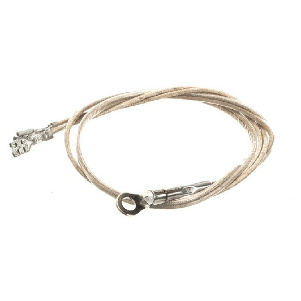 Wells 2J-Z16944 Probe Temp Rtd 20 Leads