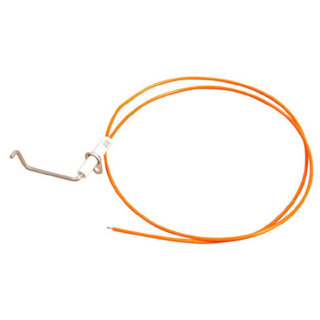 Southbend 5729-1 Ignitor/sensor