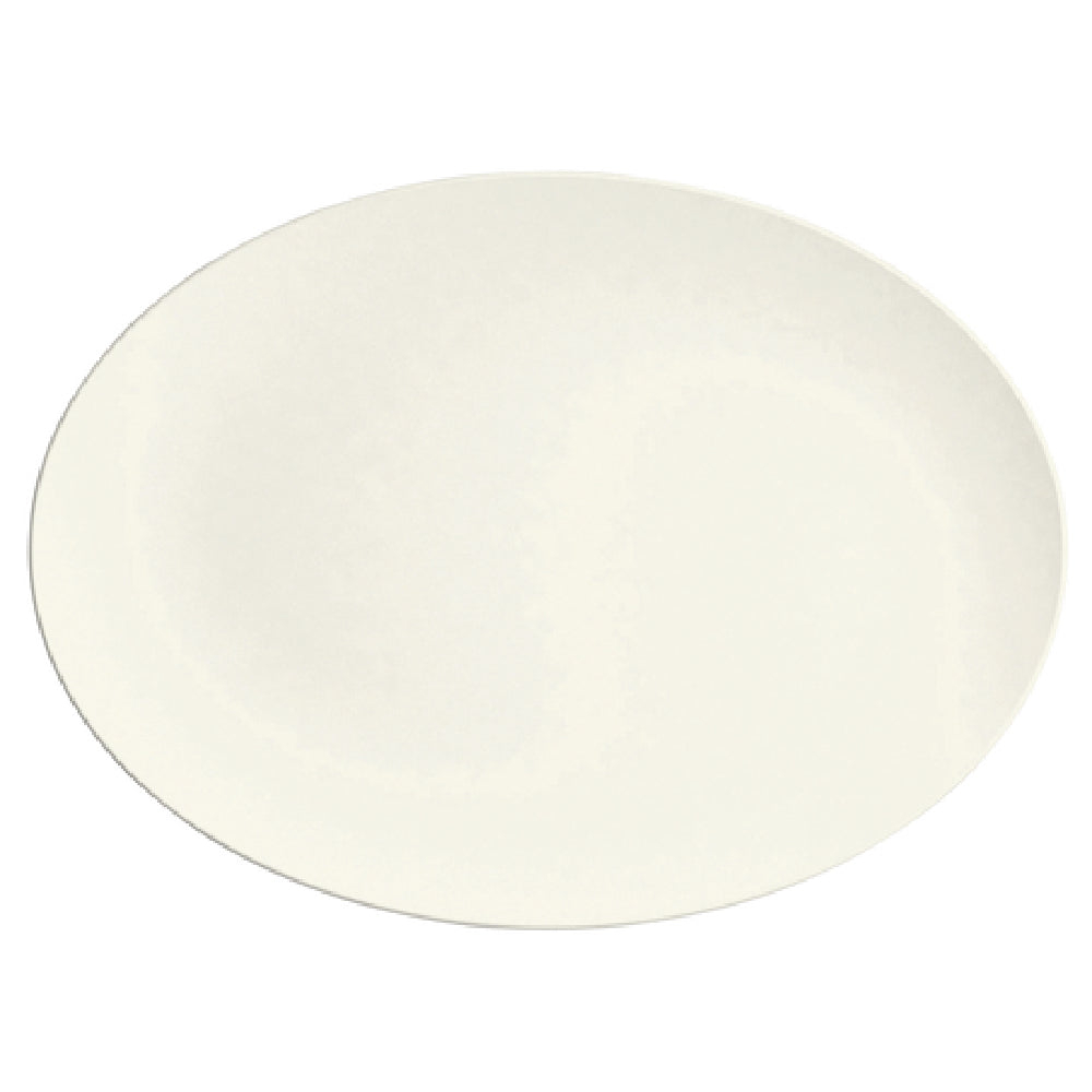 Bauscher Hepp 692237 - Plate, 14-1/2" X 10-5/8" X 1", Oval