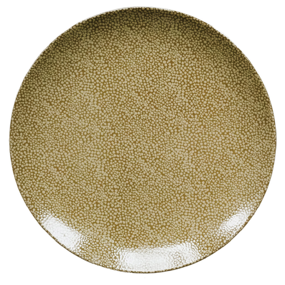Bauscher Hepp 691229-425688 - Plate, 11-2/5" Dia., Round