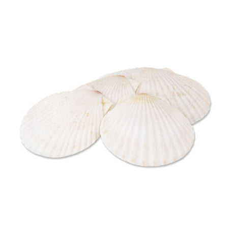 Alegacy Foodservice Products 663 Baking Shell 4-1/2" Dia. Natural