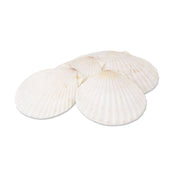 Alegacy Foodservice Products 664 Baking Shell 5" Dia. Natural