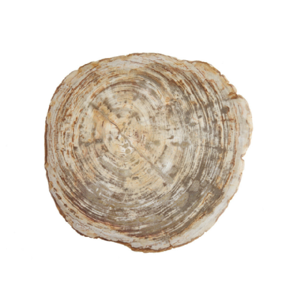 Fortessa DV.PW.0016 Petrified Platter 16" (40cm) Wood