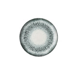 Churchill China ILUBEV111 - Plate, 11.33" Dia., Round