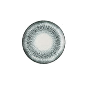 Churchill China ILUBEV111 - Plate, 11.33" Dia., Round