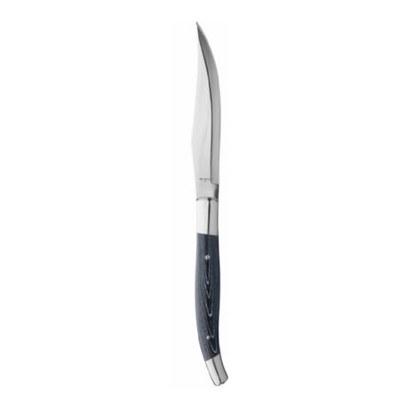 Libbey 200 1892 (Formerly World Tableware) Slim Euro Style Steak Knife 9.25"L