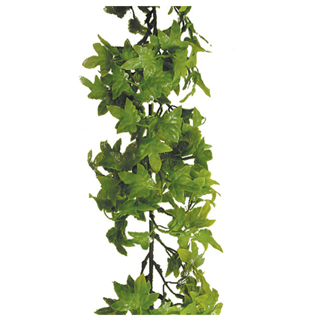 Bauscher Hepp S1037 - Ivy Garland, 70-9/10", Green