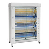 Rotisol SK1375-6G-SS Spatch KING Rotisserie Oven Gas Floor Model