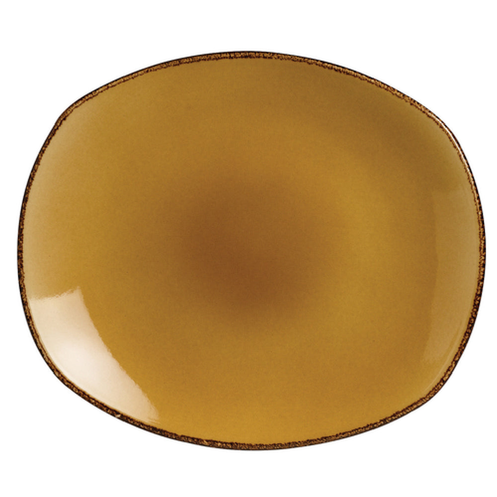 Steelite 11210581 Spice Plate 8" Dia. Round