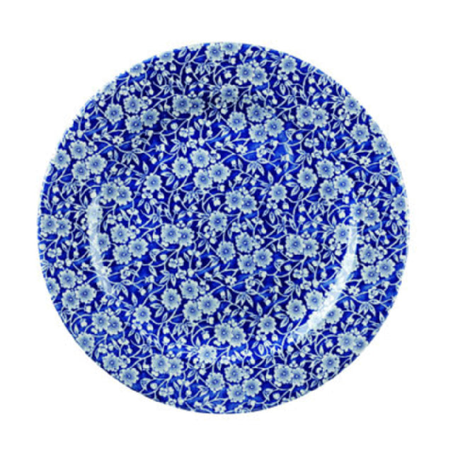 Churchill China CAP VP111 Profile Plate 12" Dia. Round
