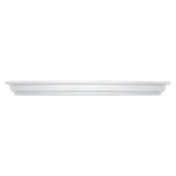 Bauscher Hepp 591823 - Plate, 9-1/8" Dia., Round
