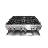group picture