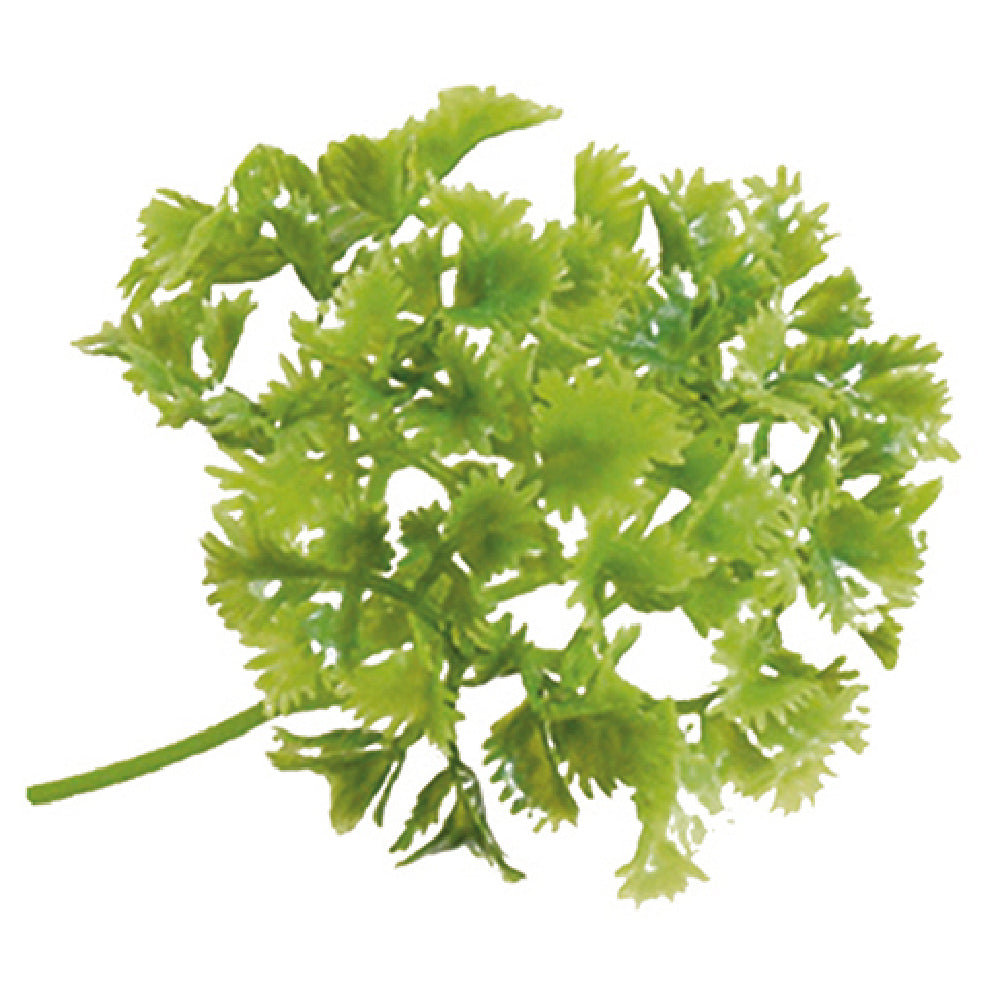 Bauscher Hepp L35 - Luxury Parsley Sprig Garnish, 7-1/2", Green