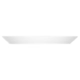Bauscher Hepp 111223 - Plate 9-1/10" Dia., Round, Porcelain