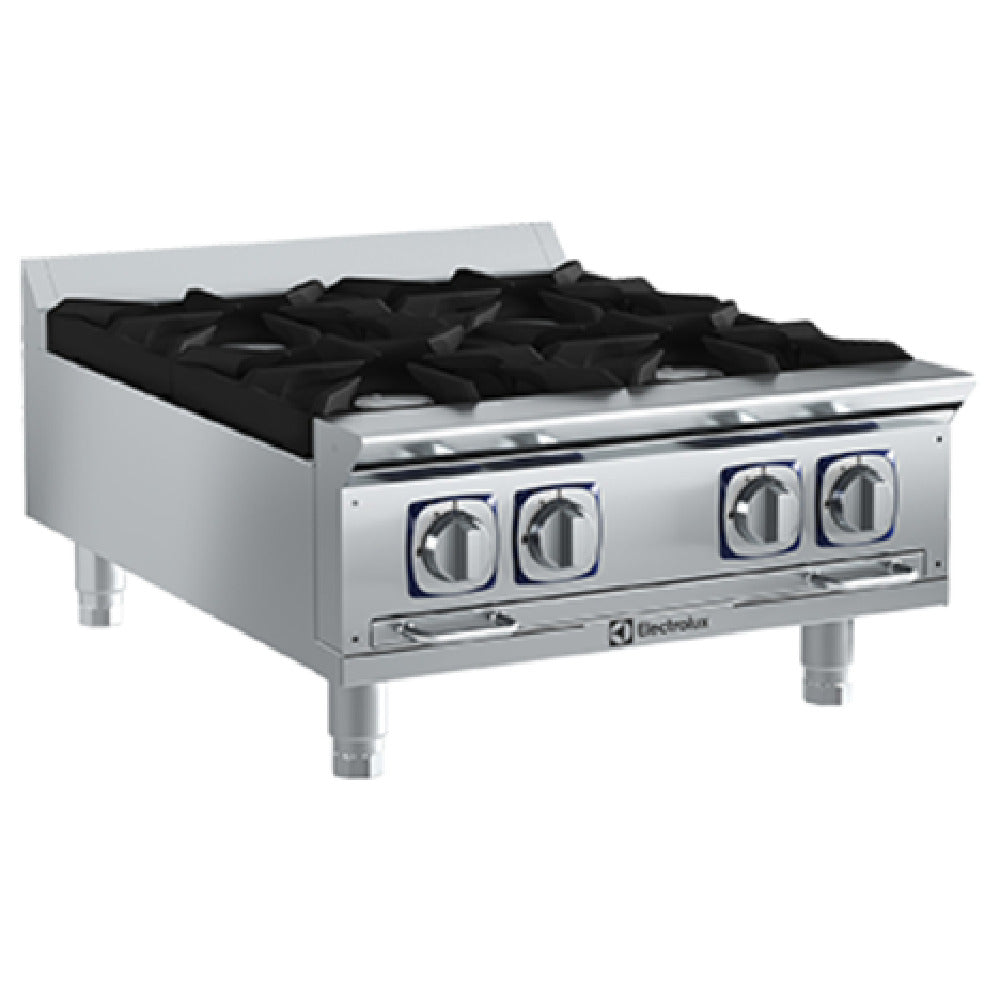 Electrolux 169102 EMPower Restaurant Range Boiling Top Gas 24"