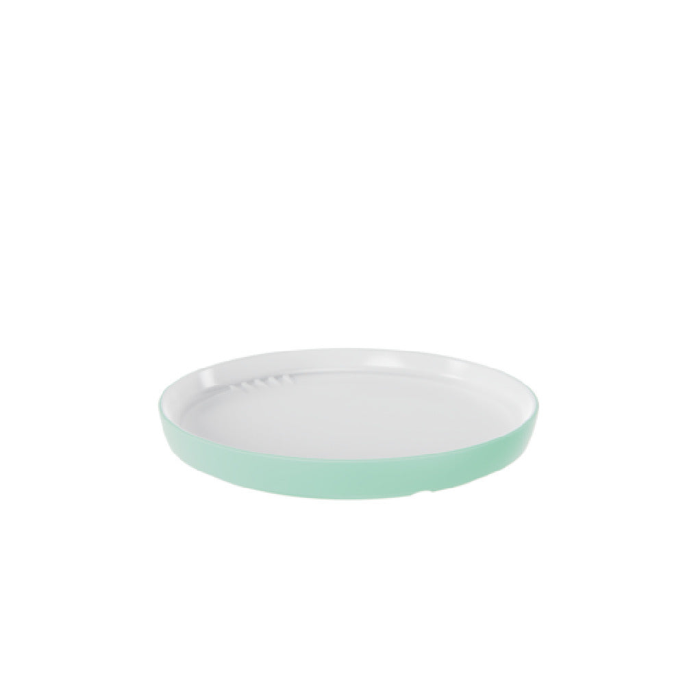 Bauscher Hepp TMG50014 - Plate, Medium, Mint