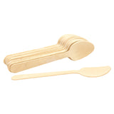 Tablecraft BAMDSPN65 Cash & Carry Disposable Spoon 6-1/2" Eco-friendly