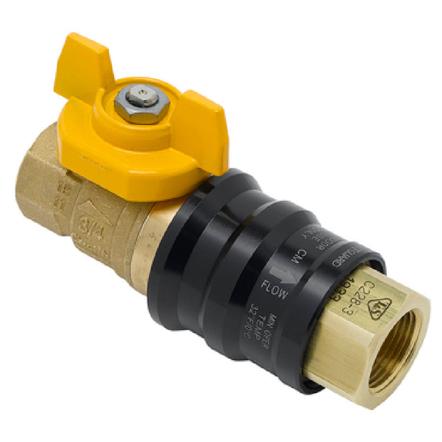 T&S Brass AG-9D Safe-T-Guard Combination Gas Valve Quick Disconnect 3/4" NPT