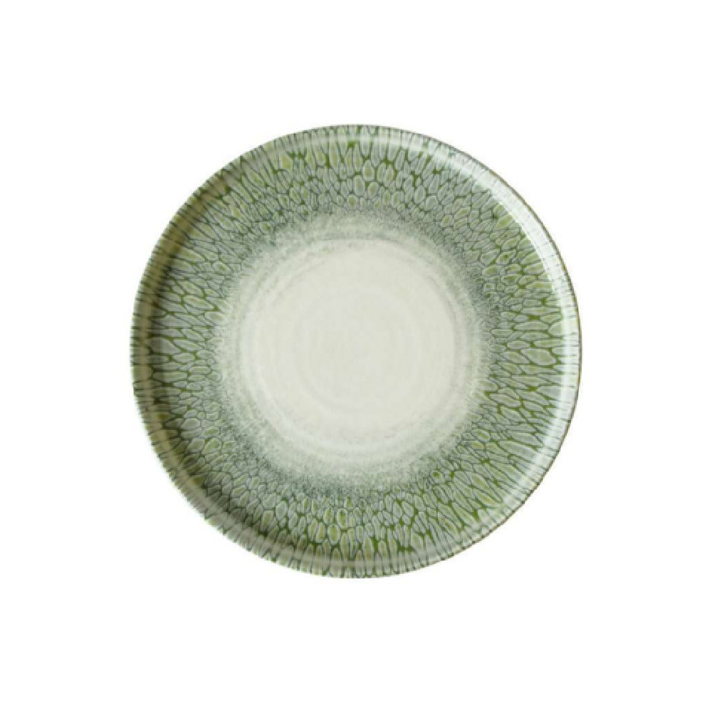 Arc Cardinal FP826 Dudson Papillon Green Walled Plate (D:10.25'') ['Vitrified Ceramic']