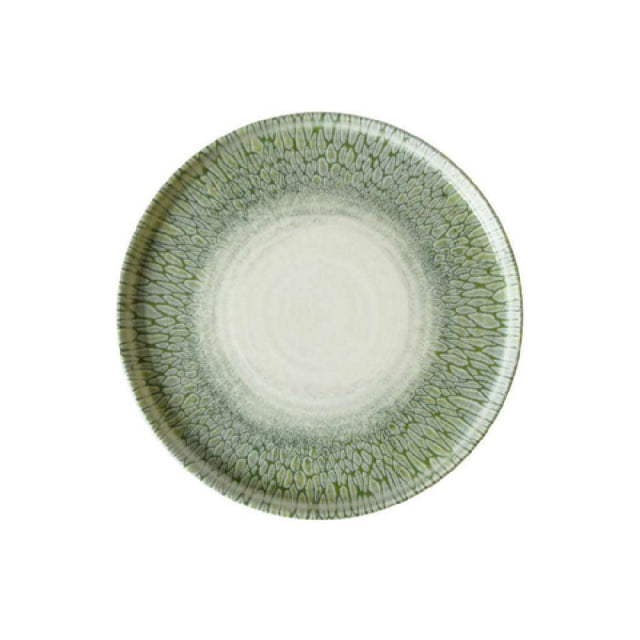 Arc Cardinal FP826 Dudson Papillon Green Walled Plate (D:10.25'') ['Vitrified Ceramic']