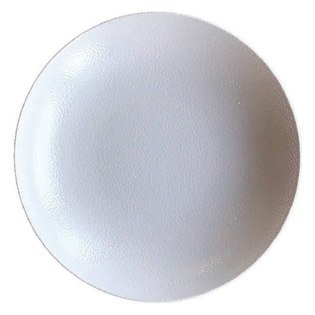 Bauscher Hepp 691329-425440 - Plate, 11-2/5" Dia., Round
