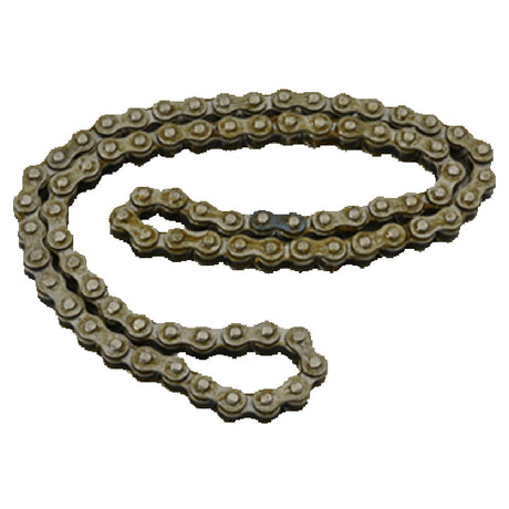 Franklin Machine Products 244-1106 Drive Chain 21"L #25