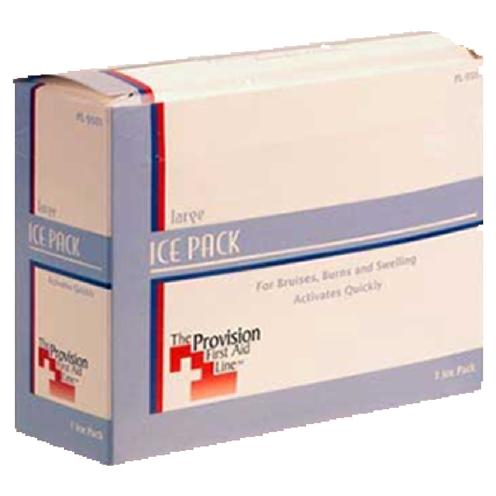 Franklin Machine Products 280-1550 Ice Pack (6" X 9" )