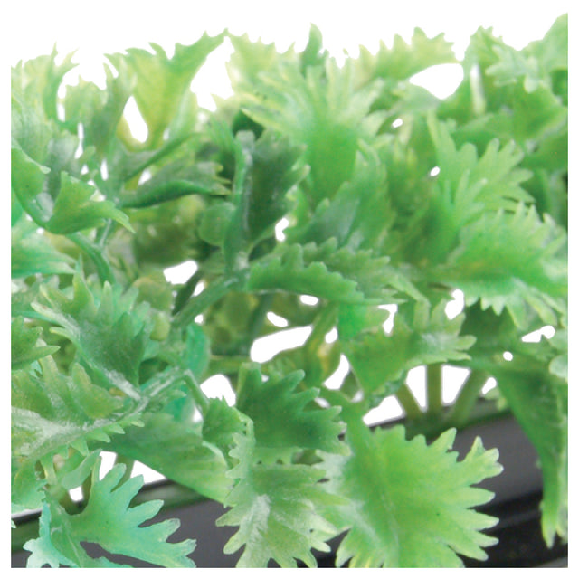 Bauscher Hepp GB35 - Luxury Parsley Garnish, 9-3/4"L, Dishwasher Safe