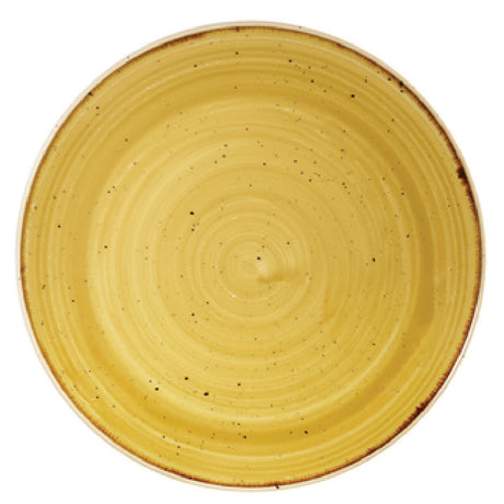 Churchill China SMSSEVP81 Plate 8-2/3" Dia. Round