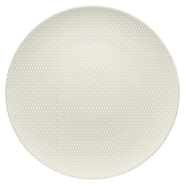 Bauscher Hepp 691229-425246 - Plate, 11-2/5" Dia., Round