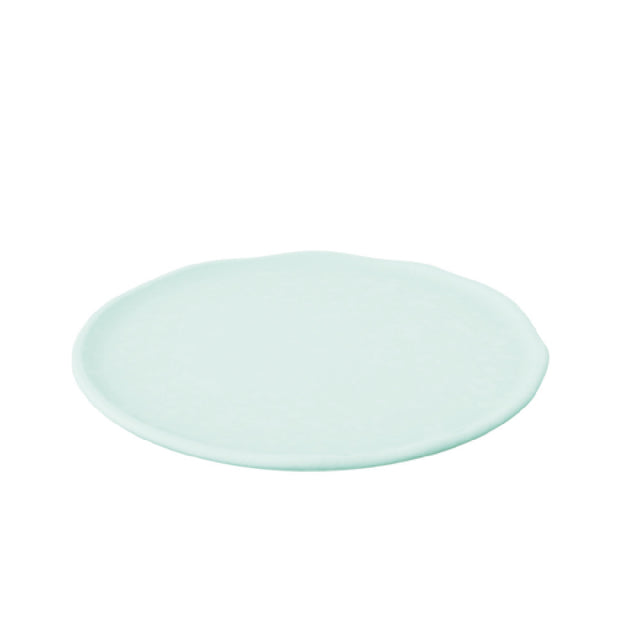 Bauscher Hepp TAQ4713 - Mineral Collection Plate, 10" Dia. X .2"H, Round