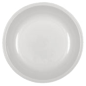 Bauscher Hepp 591325 - Plate, 9-4/5" Dia., Round