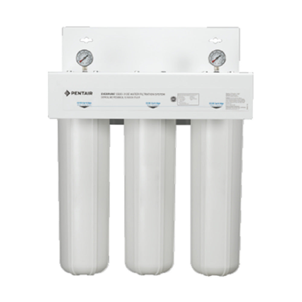 Everpure EV910070 CB20-312E Water Filtration Housing (1) CB20-312E Housing Housing Only