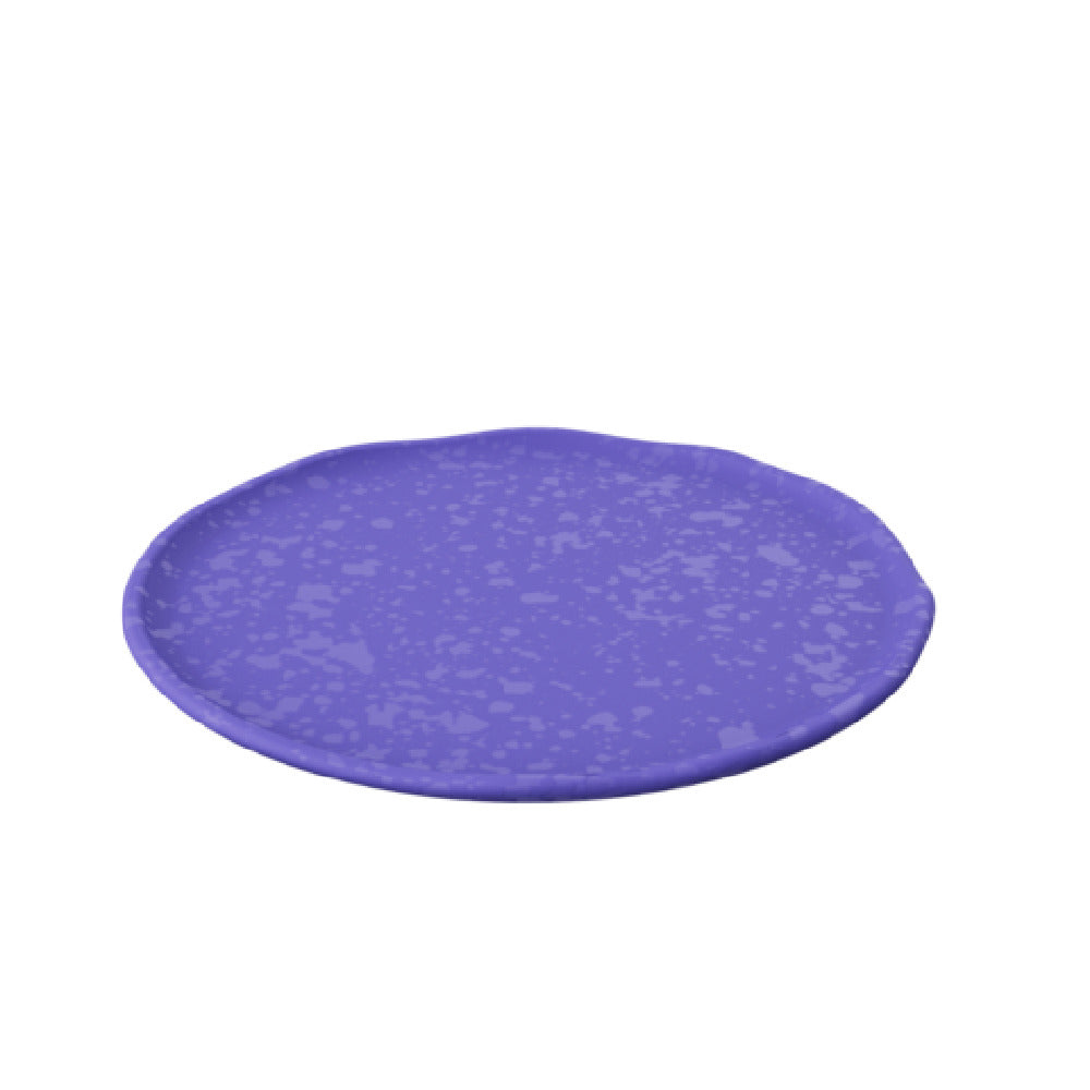 Bauscher Hepp TBL4713 - Mineral Collection Plate, 10" Dia. X .2"H, Round