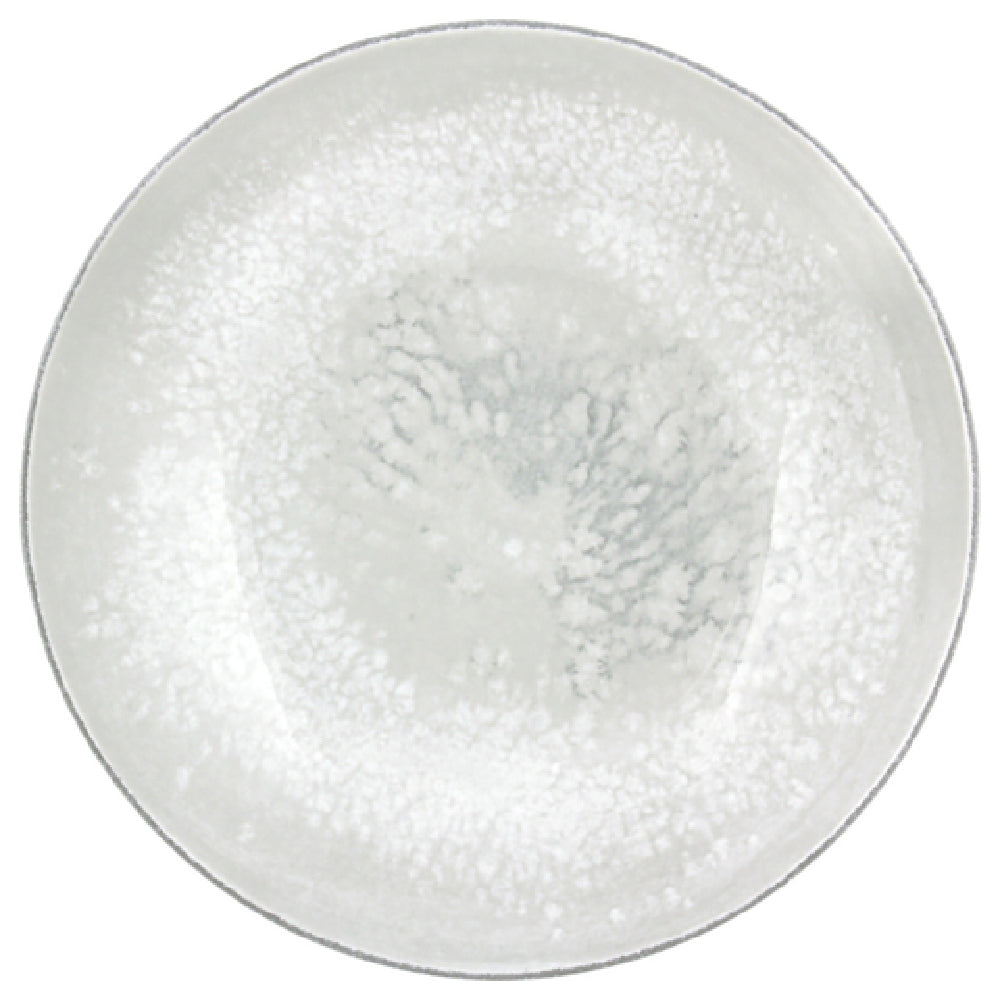 Bauscher Hepp 751328-425943 - Plate, 11-2/5" Dia., Round