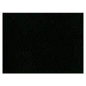 Risch PLACEMATRECT 16X12 GREEN Placemat 16" X 12" Rectangle