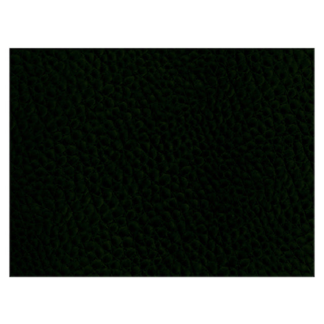 Risch PLACEMATRECT 16X12 GREEN Placemat 16" X 12" Rectangle