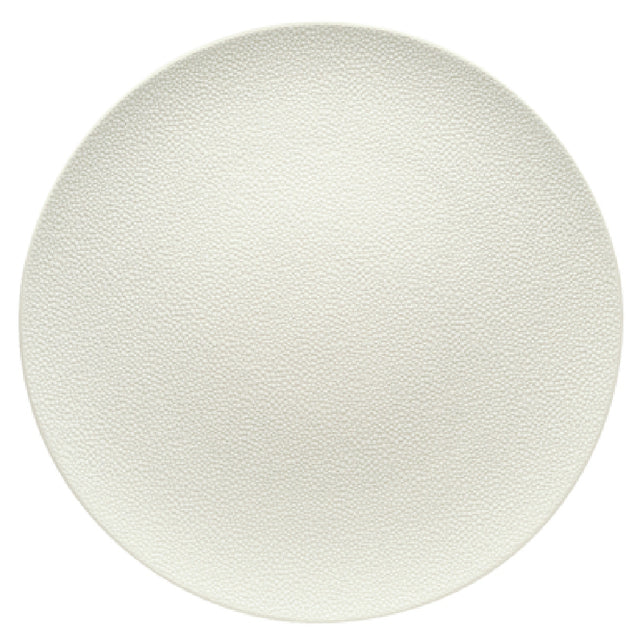 Bauscher Hepp 691224-425440 - Plate, 9-1/2" Dia., Round