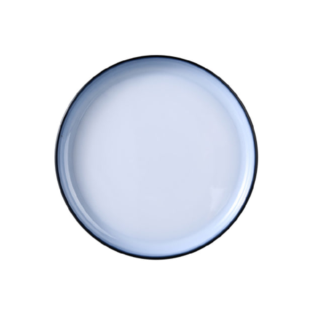 Yanco SN-110 Sentry Deep Plate 10 1/4"dia X 1" H Round