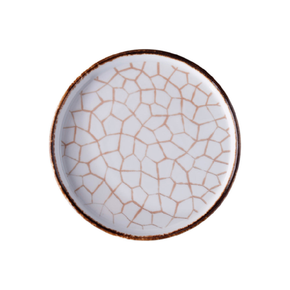 GET Enterprises PA133I992812 Dinner Plate 11" Dia. Cracked