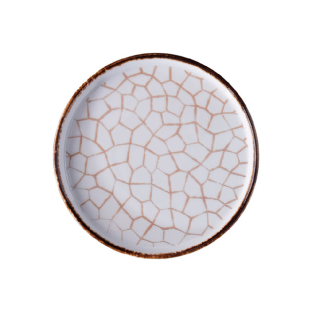 GET Enterprises PA133I992812 Dinner Plate 11" Dia. Cracked