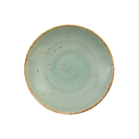 Fortessa TC7300.DV.5.98 TC Erthe Celadon Pasta Bowl 10.25" (26cm) Coupe