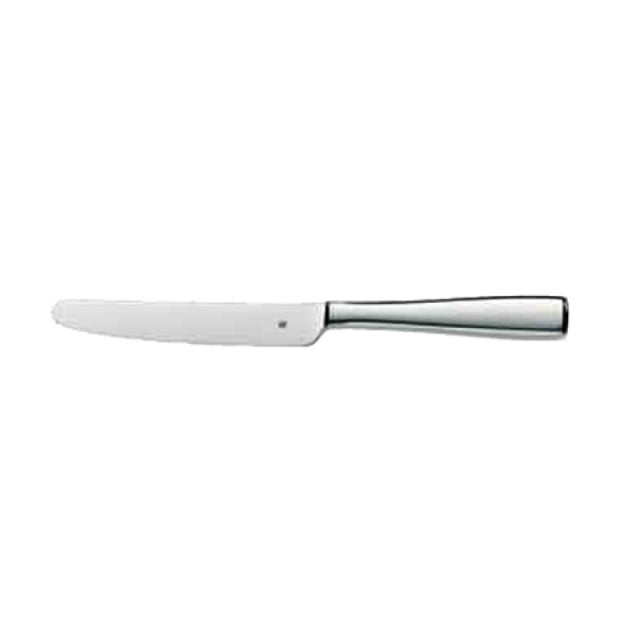 Bauscher Hepp 10.7903.6069 - Table Knife, 9-1/2", Monobloc