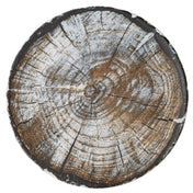 Bauscher Hepp 711220-360226 - Plate, 8" Dia., Round
