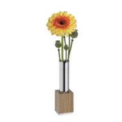 Bauscher Hepp 55.0041.6140 - Flower Vase, 1" Dia., 1-3/4"W X 1-3/4"D X 6-1/4"H