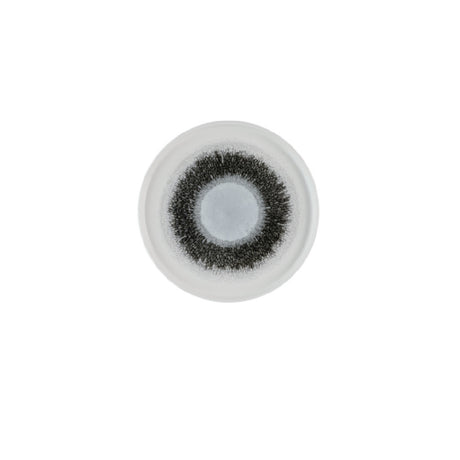 Churchill China FSBKWP261 - Walled Plate, 10-1/4" Dia., Round