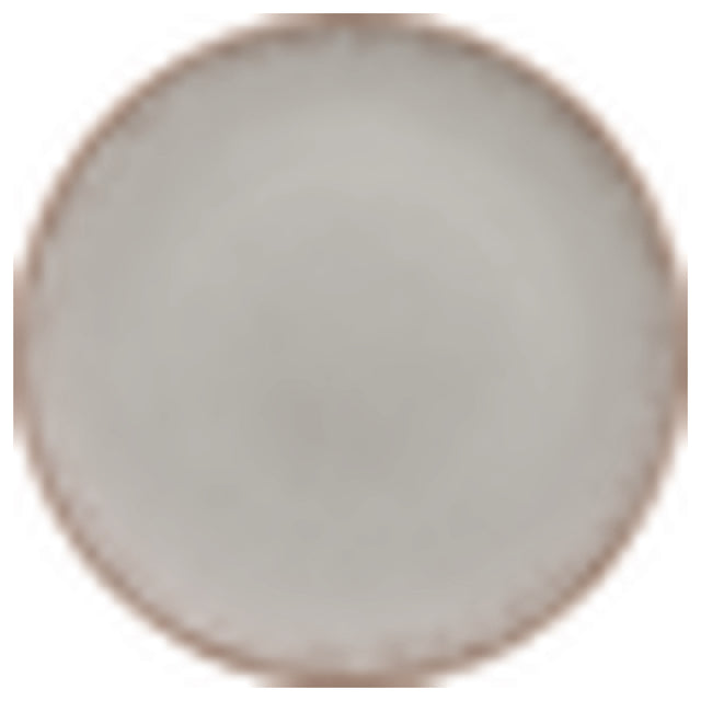 Bauscher Hepp 711223-700460 - Plate, 9" Dia., Round