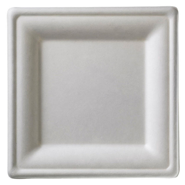 Tableware Solutions USA Q2017 Disposable Plate 6-2/7" X 6-2/7" (16 X 16 Cm) Square